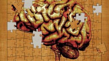 psykisk sygdom bugspytkirtel infektioner årsager hjerne