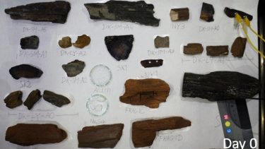 vikingeskibe smuldre grøn pels Nationalmuseet indeklima