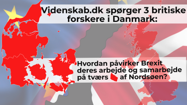 Brexit forskning samarbejde danske forskere i UK britiske forskere i Danmark