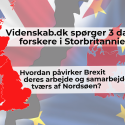 Brexit forskning samarbejde danske forskere i UK britiske forskere i Danmark