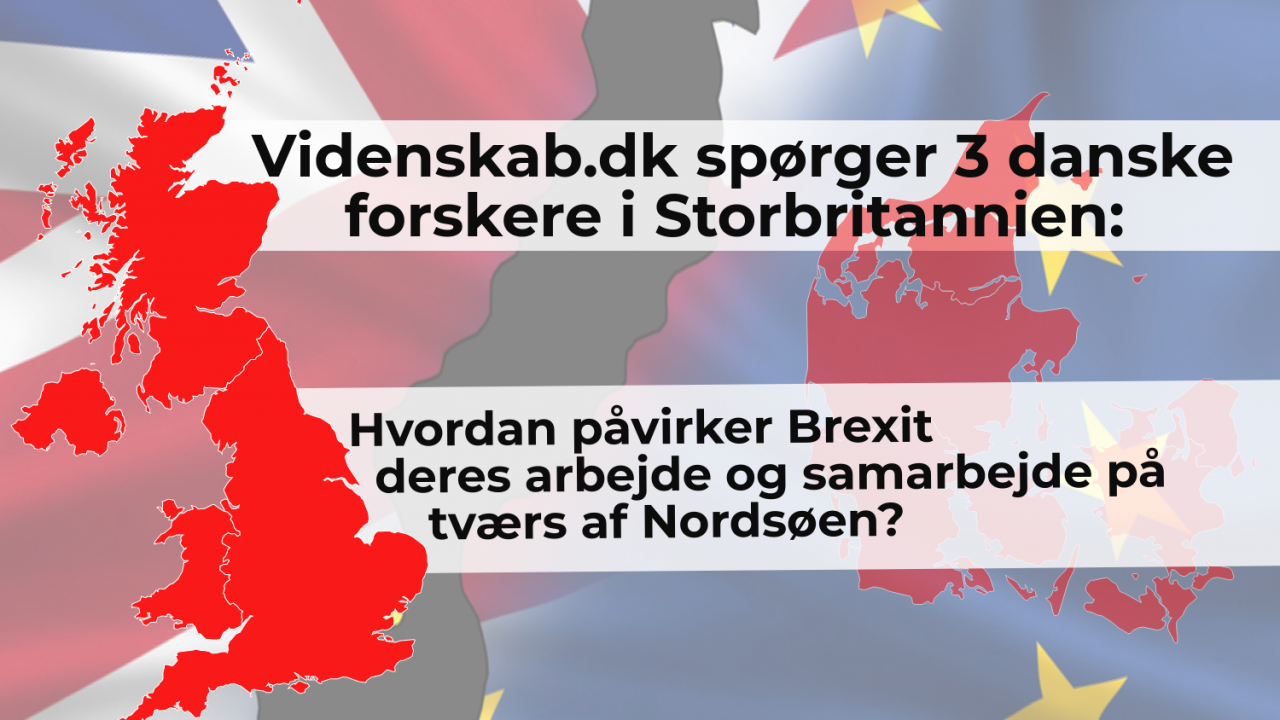 Brexit forskning samarbejde danske forskere i UK britiske forskere i Danmark