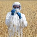 gmo planter etik
