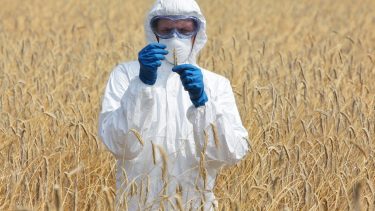 gmo planter etik