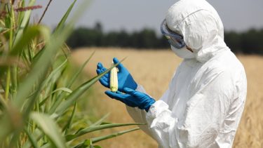 livestream_gmo_klima_og_etik
