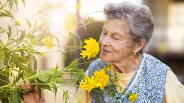 old people smell mortality death