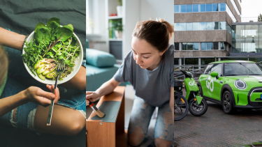 Tre billeder: Kvinde med vegansk kost på tallerkenen, kvinde, der maler et gammelt møbel og et foto af en delebil og delecykler