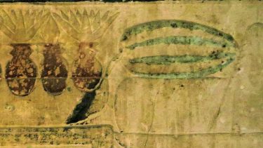 vandmelon Egypten gravkammer