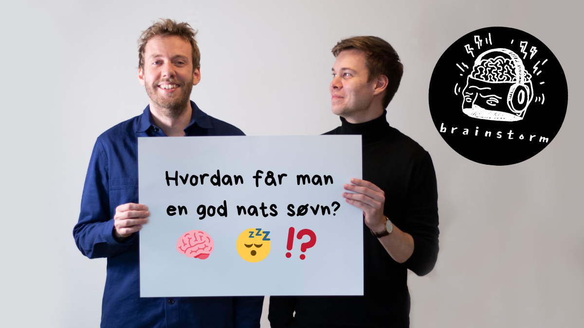 søvn nat hjerne