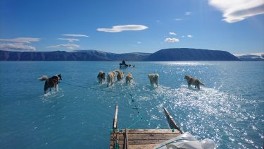 fjord dmi hundeslæde vand