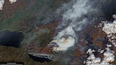 klimaforandringer skovbrande