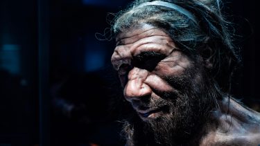 DNA ukendte menneskearter