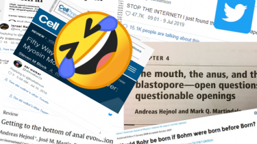Twitter forskere titler videnskabelige studier