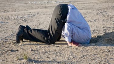 CO2-neutral, byer, politikere, forskere