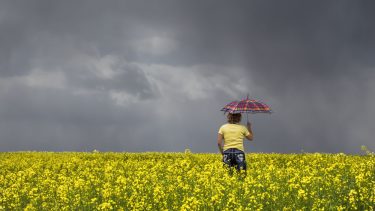 byge regn torden lummer vejr fugt køle kold luft
