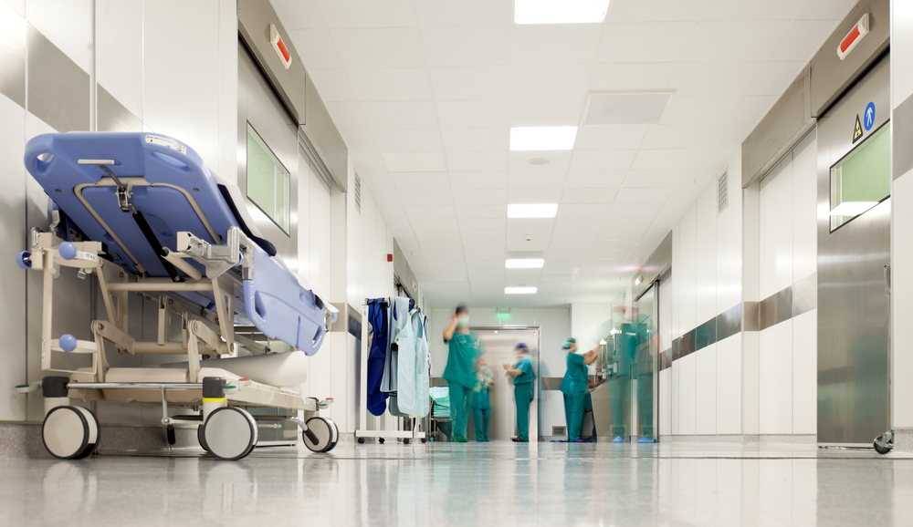 Multiresistente Candida auris infektioner bakterier superbakterier lægemidler antibiotika virus dødelig hospitaler immunsystem patienter mikroorganismer sundhed