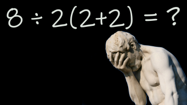 virale ligning 8/8(2+2) matematik regnestykke