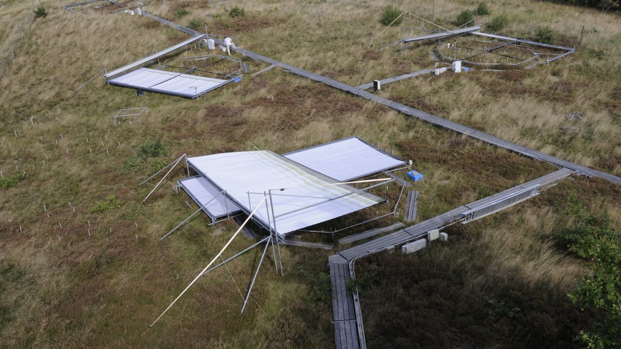 natur hede co2 optag klima