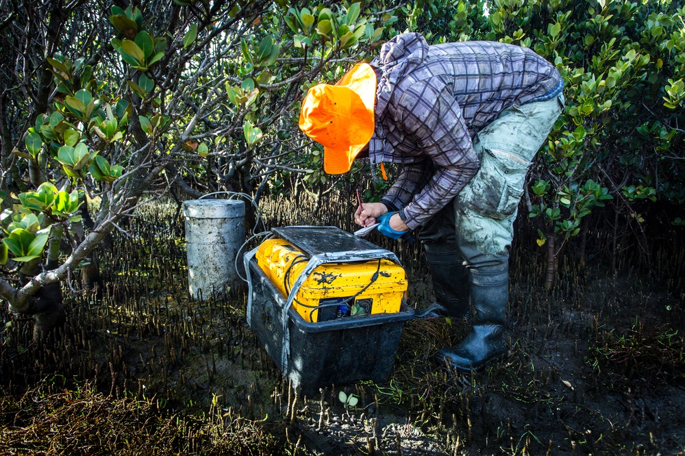 metan udledning drivhusgasser klimaforandringer sumpe køer naturgas CH4