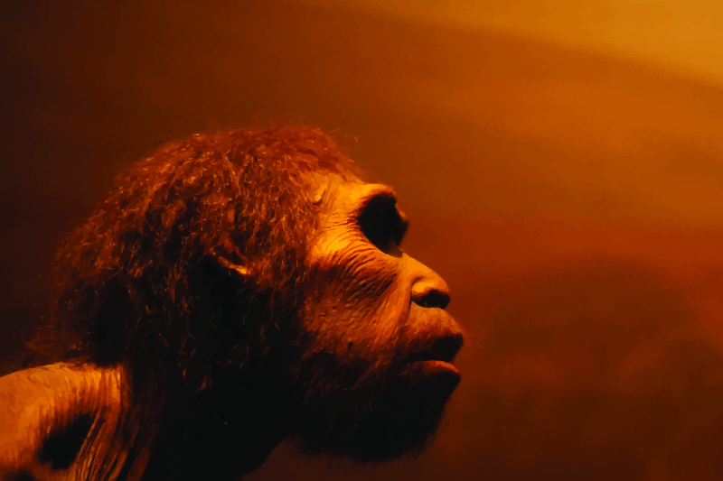 neandertaler ørebetændelse udryddelse uddø mellemørebetændelse