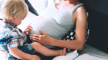 influenza vaccine influenzavaccine gravide børn ssi