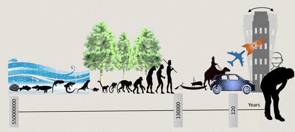 Transportsyge køresyge søsyge biler både evolution vestibulære system sansesystem receptororganer svimmelhed koncentrationstab døsighed kvalme.