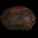 Wedderburn meteorit