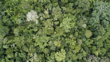 hvilken betydning har klimaforandringer for biodiversitet hvordan kan vi redde biodiversiteten konference københavns universitet