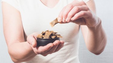 Snus tobak risiko skråtobak nikotin kræftfremkaldende kræft bugspytkirtelkræft studie advarer sundhedsmyndigheder Norge Folkehelseinstituttet nikotinforbrug mundhule spiserør