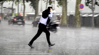 regn våd vand dråber løbe gå stå