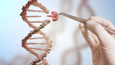 cirspr baby forsker er begyndt at redigere gener i menneskelige æg