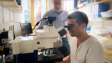 Alzheimers blodprøve demens amyloide plaques kognitive funktioner hukommelsestab patienter studier giftstoffer hjerneskader diagnose diagnosticering medicin udvikling neurodegenerativ sygdom