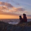 En hund sidder med sin ejer på en sandklit og kigger ud over havet,