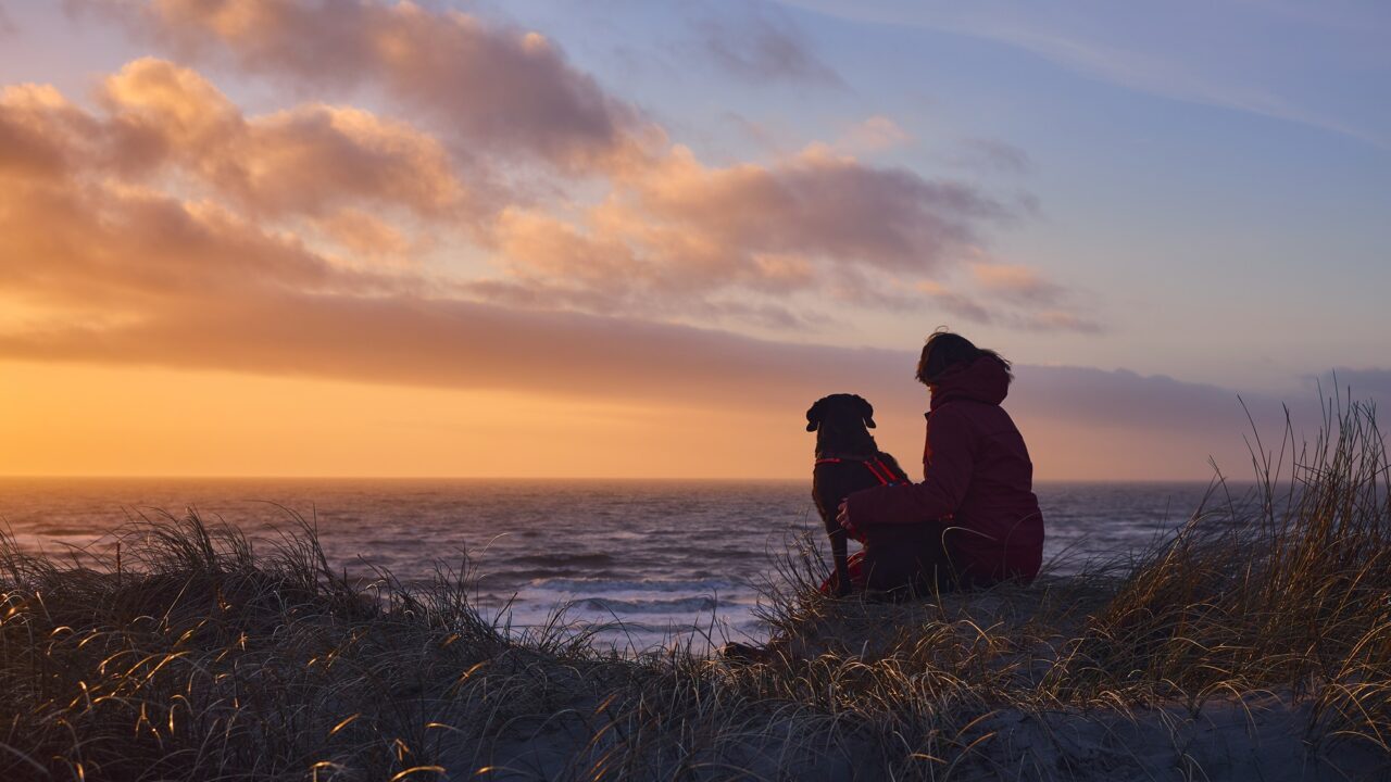En hund sidder med sin ejer på en sandklit og kigger ud over havet,