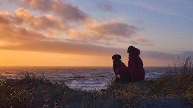 En hund sidder med sin ejer på en sandklit og kigger ud over havet,