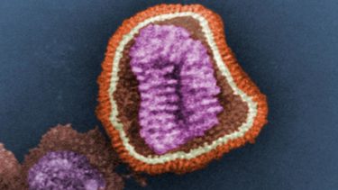 vaccine vaccineprogrammer influenza asiatiske influenza Hong Kong influenza arvestof DNA krydsning pandemier konsekvenser medborgere fælles bedste syge sårbare folkesundhed fravalg videnskab