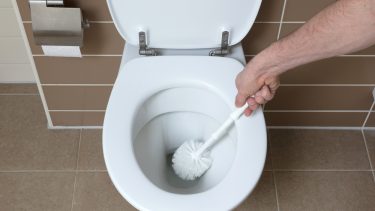 Den nye spray sikrer ifølge forskerne en glat belægning, således der ikke vil være brug for toiletbørsten. Foto: Shutterstock