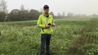 pløjefri landbrug conservation agriculture efterafgrøder afgrøder plov