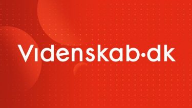 Videnskab.dk job