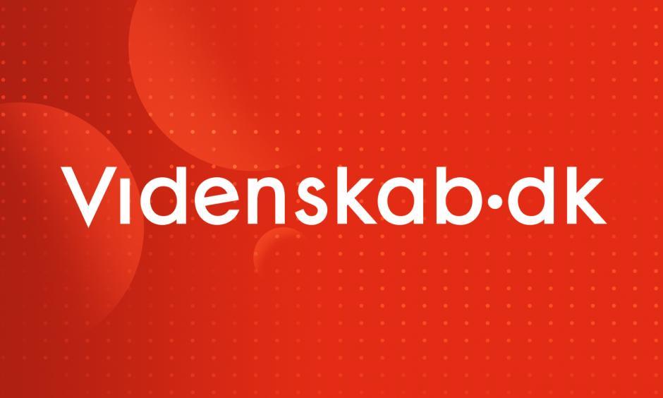 Videnskab.dk job