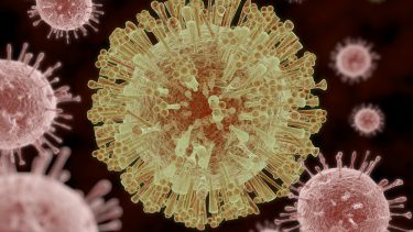 zika virus epidemi klima