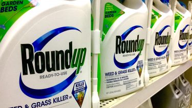 glyphosat roundup sprøjtemidler natur miljø kræft kemi ukrudt ukrudtsmidler