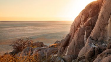 Evolution menneskeheden Homo sapiens sapiens Botswana Afrika fossiler mitokondrielt DNA analyser database nulevende art Makgadikgadi-saltsletterne vådområde biologisk udvikling