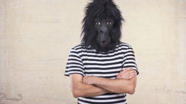 Gorilla opmærksomhed