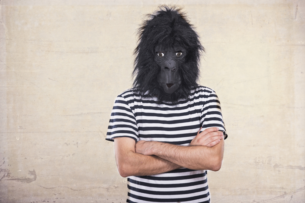 Gorilla opmærksomhed