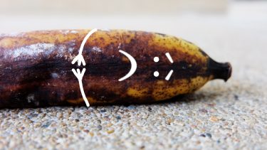 Penis rådne efter bid bidt under sex