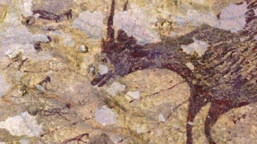 43.900 år gammelt hulemaleri jagtscene Indonesien kunst