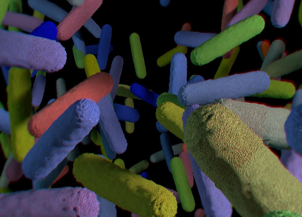 Tarmbakterier protein tarmflora mikroorganismer signalstoffer behandlingsmetoder lipopolysakkarider genom proteinstrenge mikrober DNA