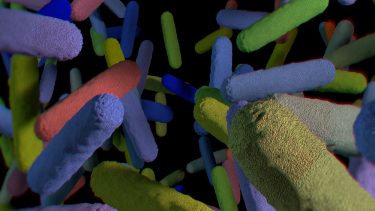 Tarmbakterier protein tarmflora mikroorganismer signalstoffer behandlingsmetoder lipopolysakkarider genom proteinstrenge mikrober DNA