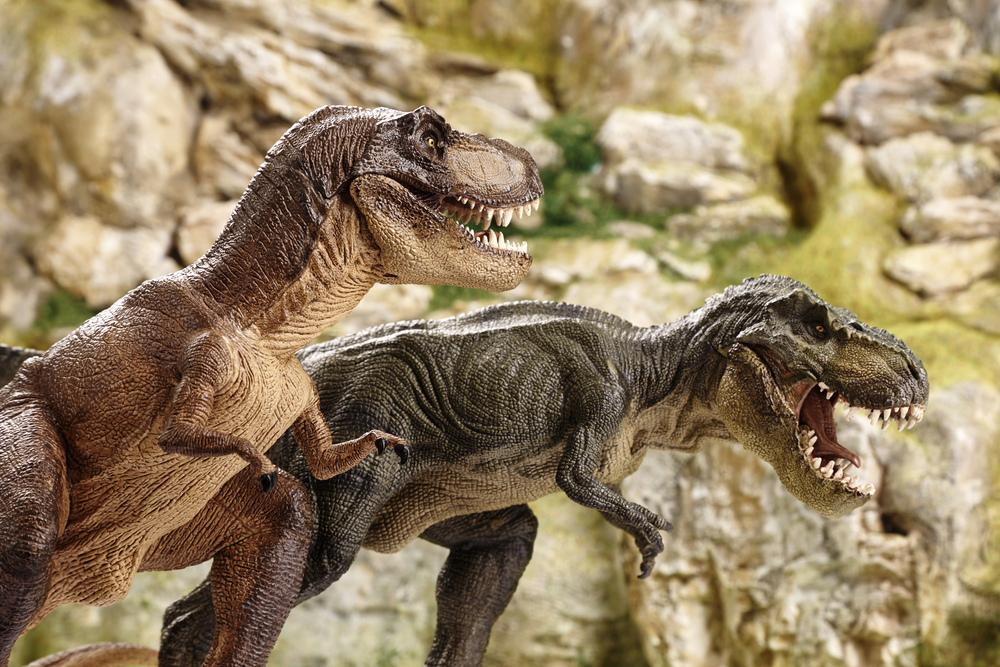 nanotyrannus mini-T. Rex teenager