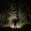 En person står på en grussti i en mørk skov om natten, oplyst af en lyskilde bag sig, som kaster deres skygge frem og fremhæver høje træer på begge sider af stien.